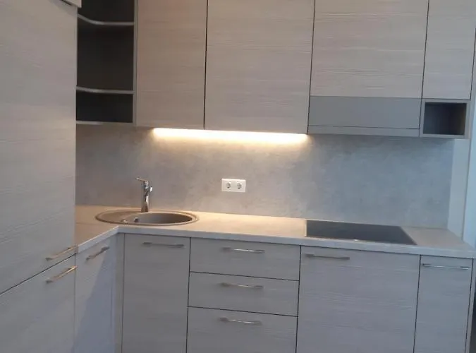 In Centre Apartment *