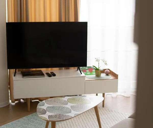 In Centre Apartment Druskininkai