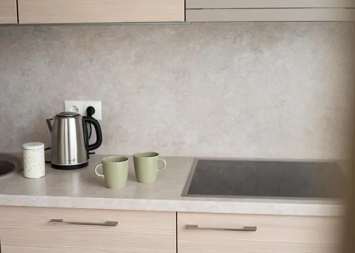 In Centre Druskininkai